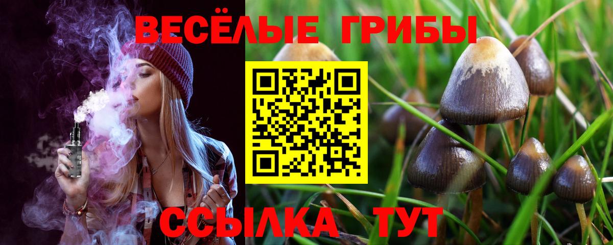 Псилоцибиновые грибы Cubensis Майкоп