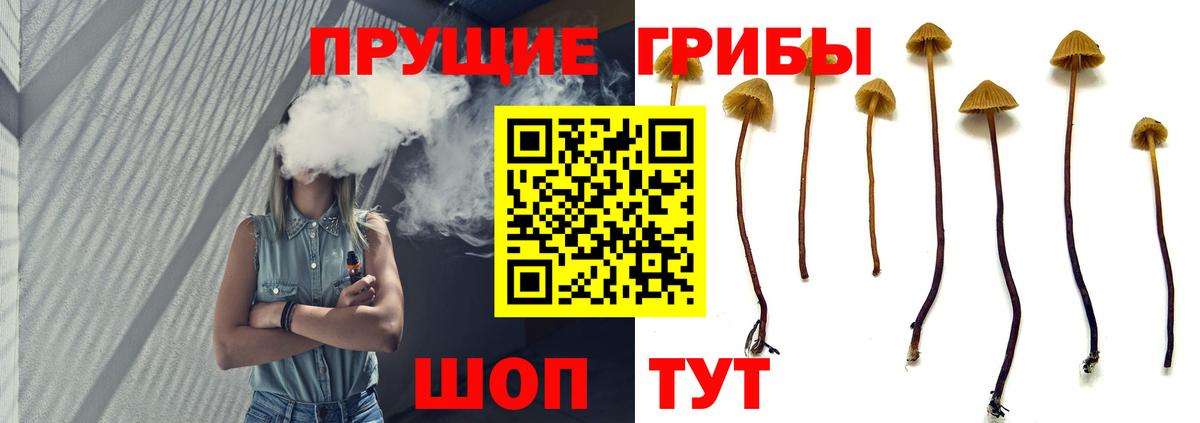 Майкоп  Галлюциногенные грибы прущие грибы  Вход с VPN 